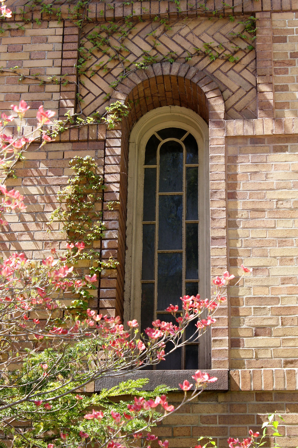 4-30-11+img_4606.jpg