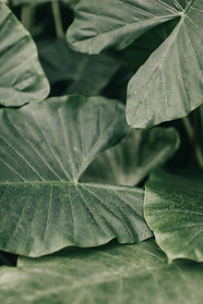 untitled image