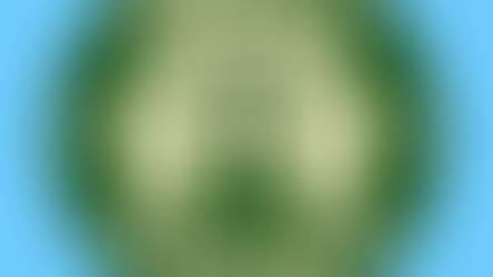 Stay up-to-date with press releases, statements, and important events related to Madalsan.