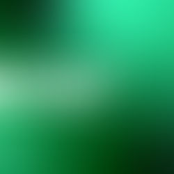 Decreto Ristori, misure a sostegno delle imprese