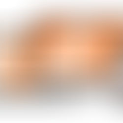 Il TUO 730 on line SENZA MUOVERTI DA CASA