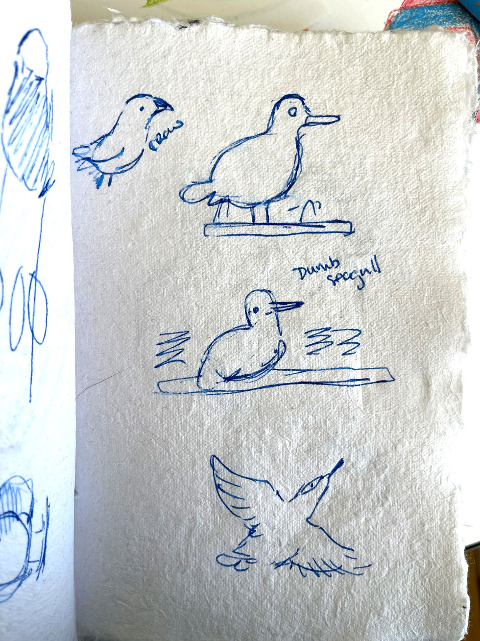 silly birds