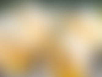 Four halved lemons filled with fluffy lemon sorbet, placed in glasses. Background features white flowers and greenery. Bright and refreshing.