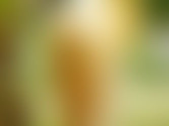 Pineapple smoothie in a glass with a metal straw and slice garnish next to a whole pineapple. Set outdoors with a blurred green background.