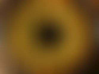 Garlic Herb Pull-Apart Bread – Easy Homemade Party Bread