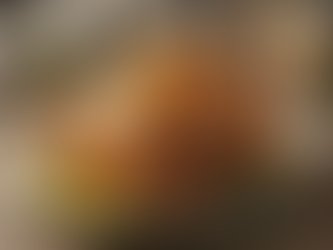 Southern-Style Holiday Turkey