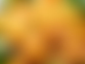 Fried shrimp coated in a creamy orange sauce are placed on green lettuce leaves, garnished with chopped green onions.