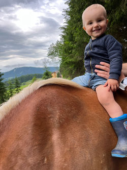 Kinder Ponyreiten