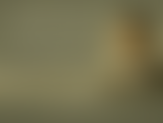 We Stand on the Shoulders of Giants: Rev. Jesse Jackson’s Legacy of Justice and the Environment