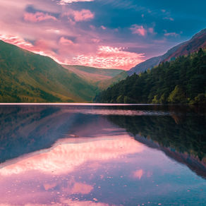 Discover the Hidden Gems of Wicklow National Park, A Celebration of BioDiversity