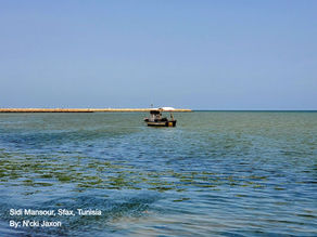 Don't Be a Drop in the Ocean: Protecting the Mediterranean and Beyond on World Oceans Day