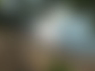 銅鑼灣避風塘燈塔.在海中心看日落