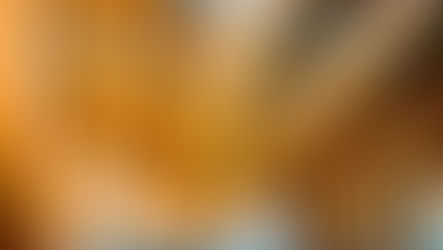 赤橙色隧道 偽千本鳥居