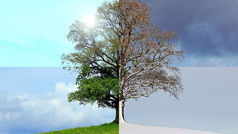 《無毛時代：激光脫毛並非夏季限定，一年四季都可以自由展開！ 》