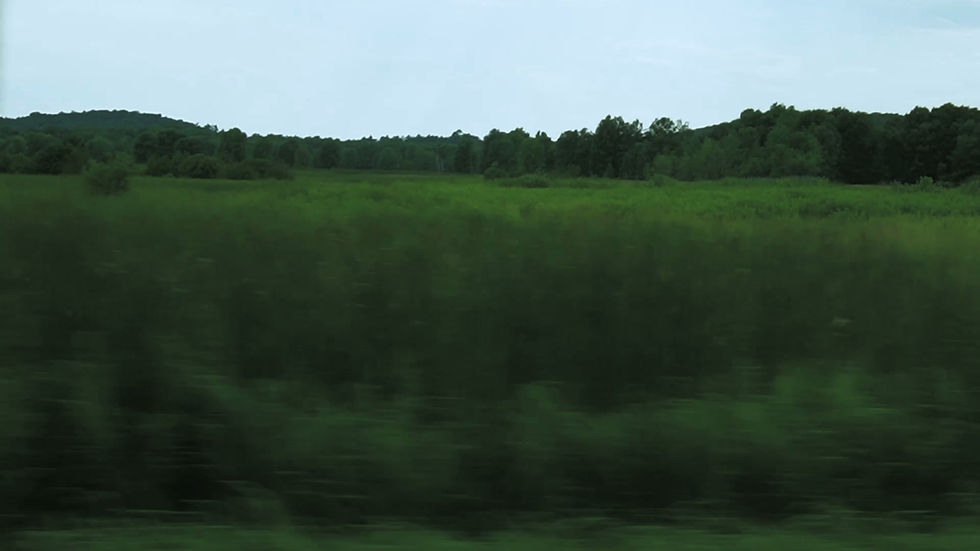 homepage.mp4