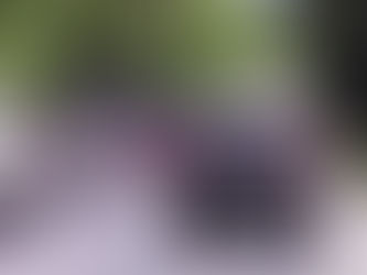 Ramcamp 2023 - Crazy ride