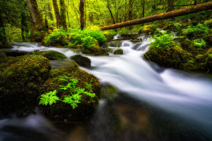 wasserlandschaft-jura-kevin-buess