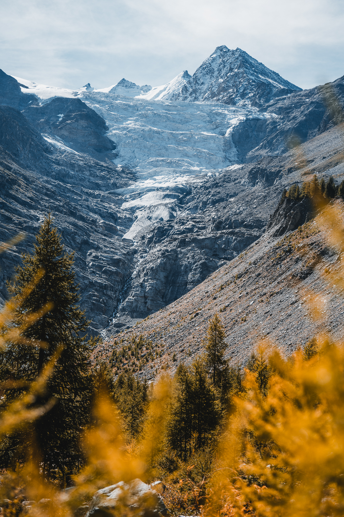 Riedgletscher Wallis