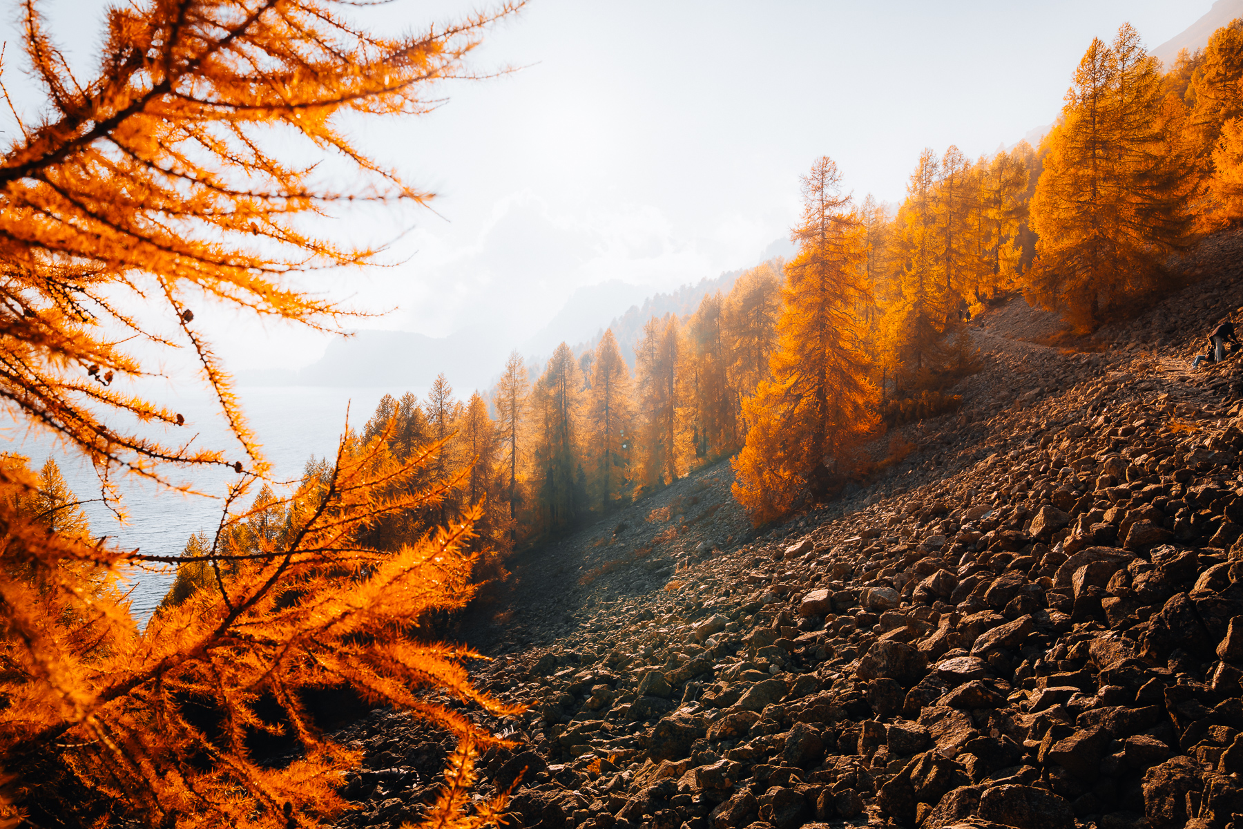 Engadin im Herbst, Indian Summer, Sils 