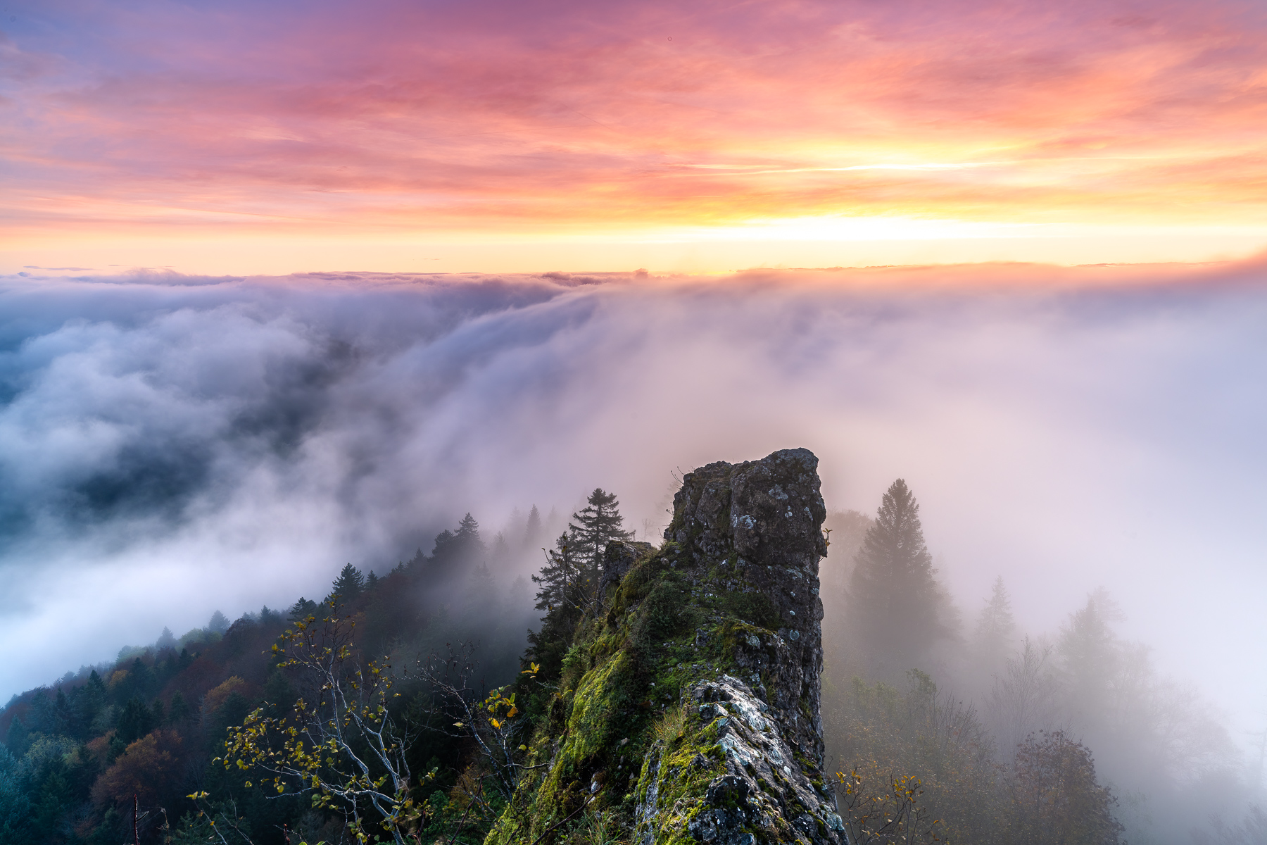 Nebelwelle auf der Bölchenflue
