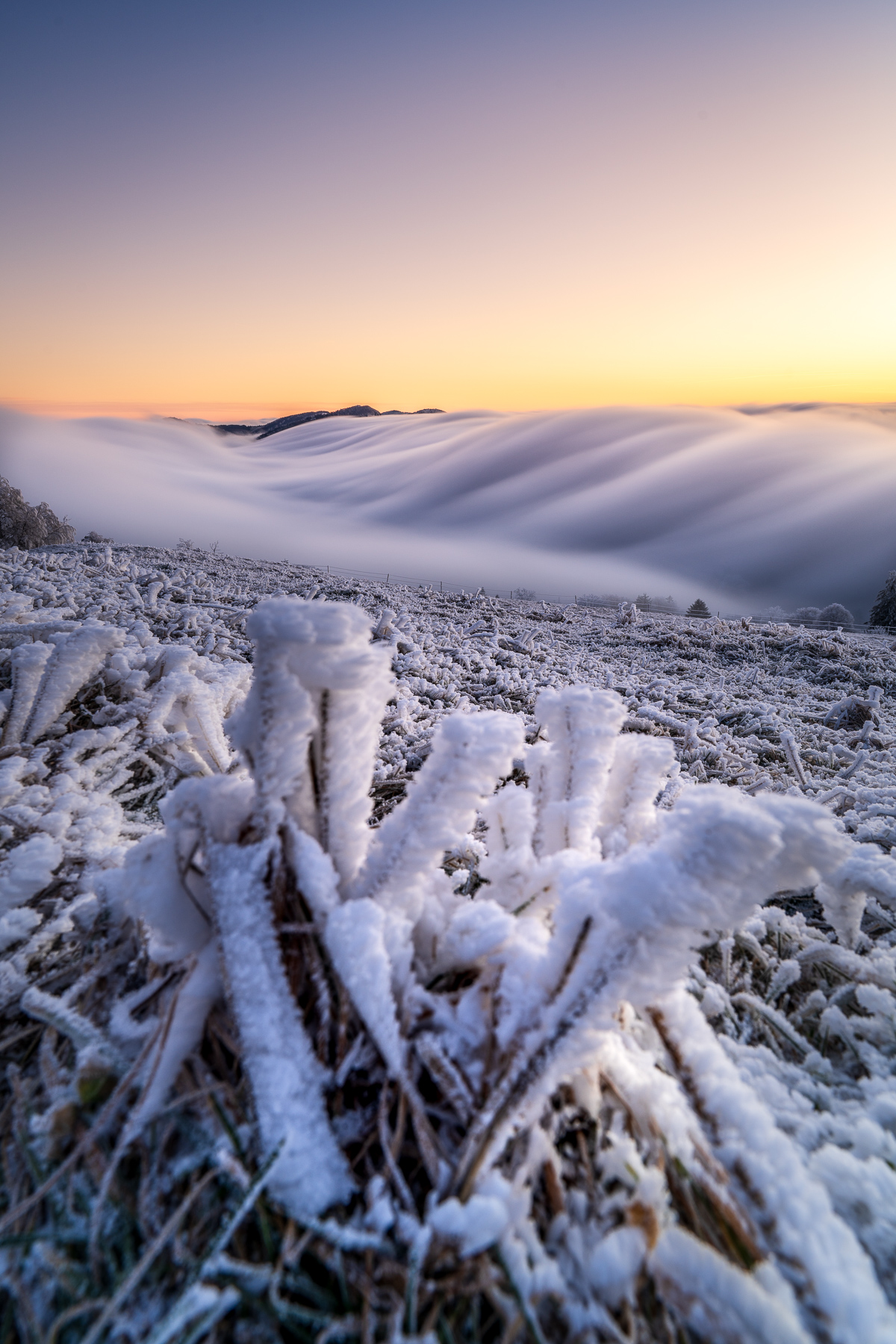 Nebelwelle mit Winterlandschaft in der Schweiz