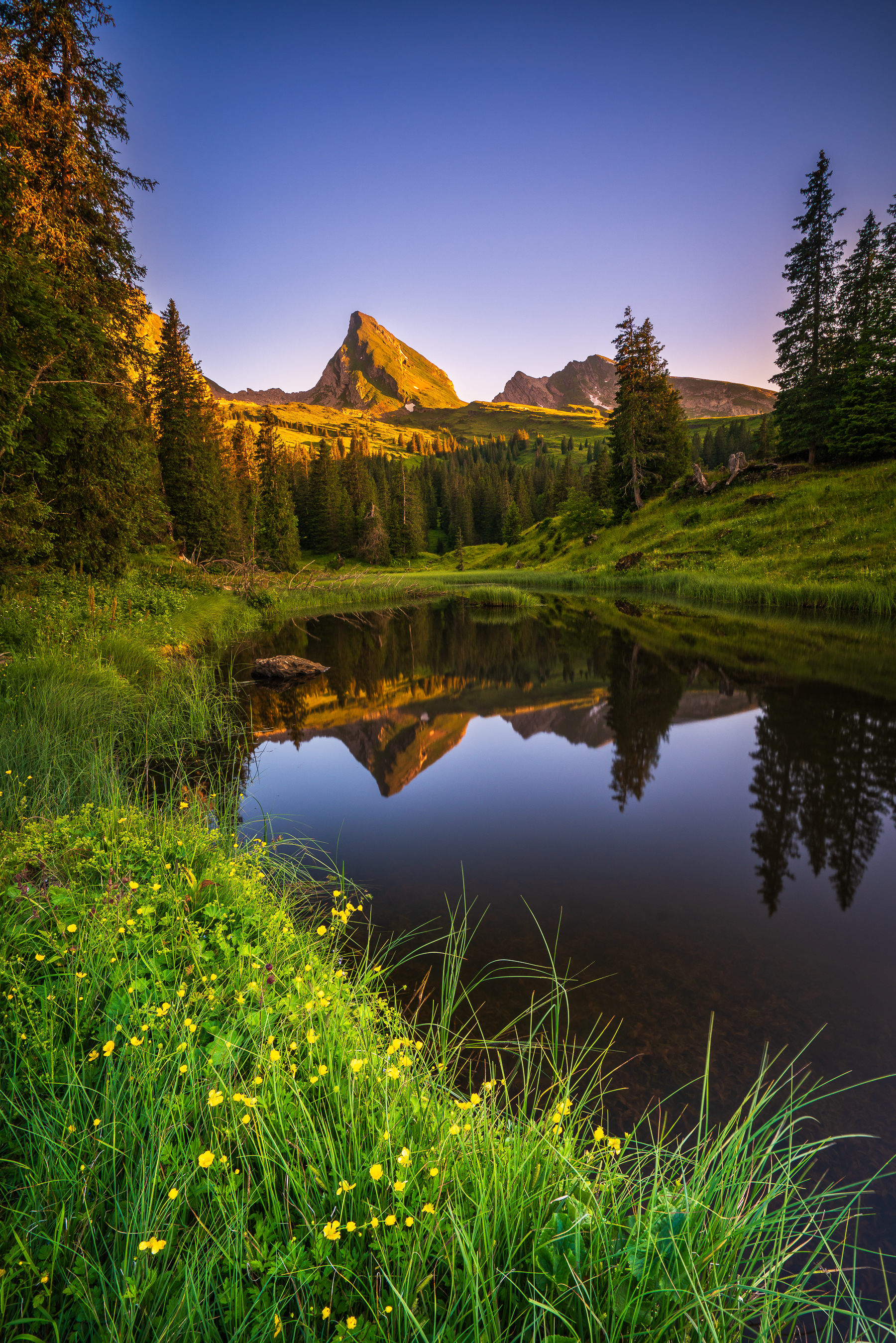 ostschweiz-sonnenuntergang