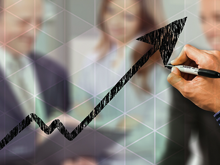 Como investir o lucro da sua empresa?