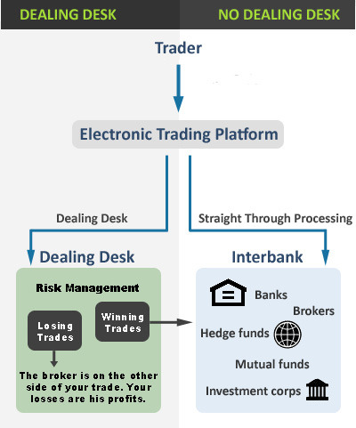 Stp trading forex