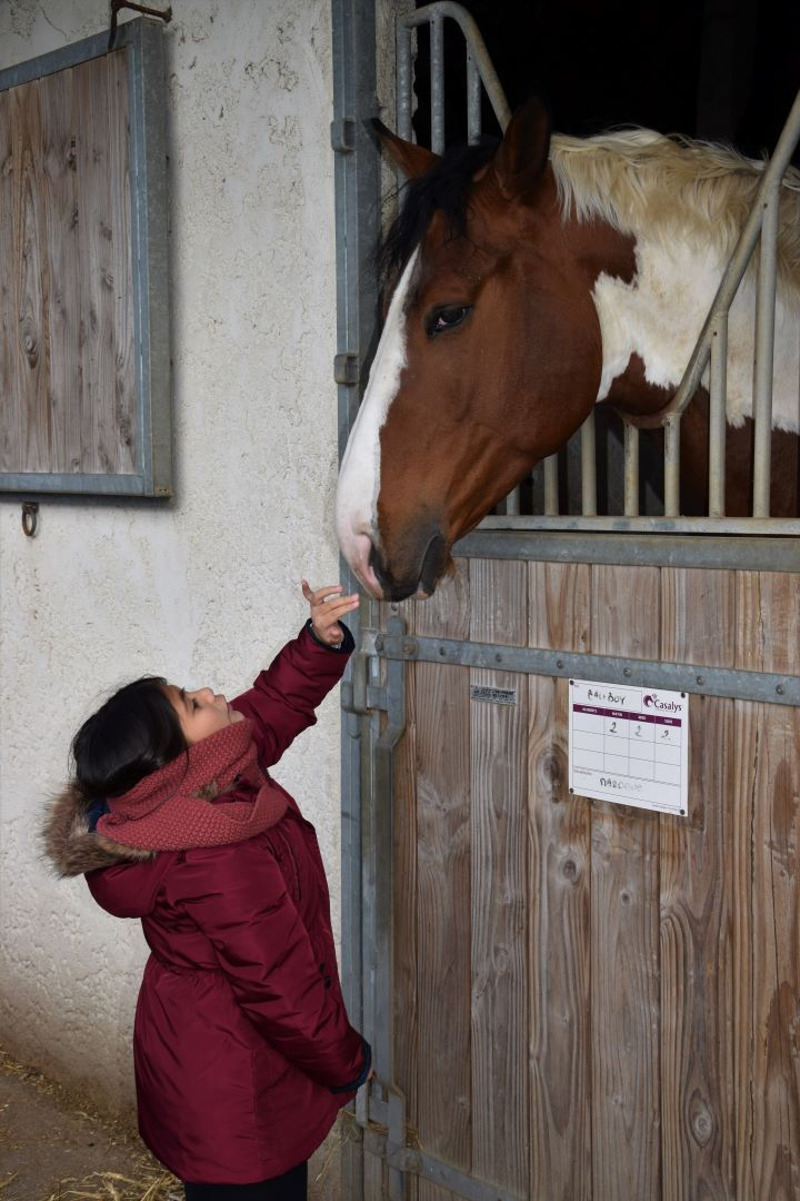 Brigitte-B_ l'enfant et le cheval