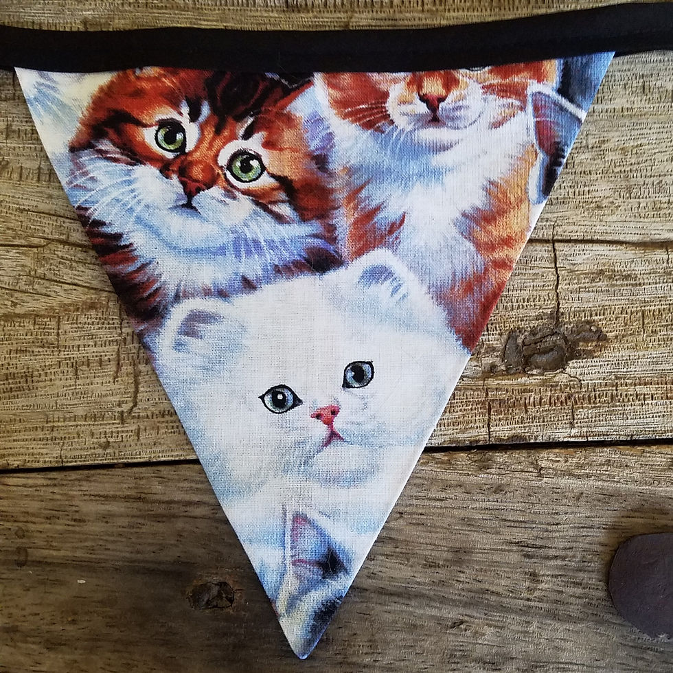 Thumbnail: Apocalypse Kittens UFO Bunting