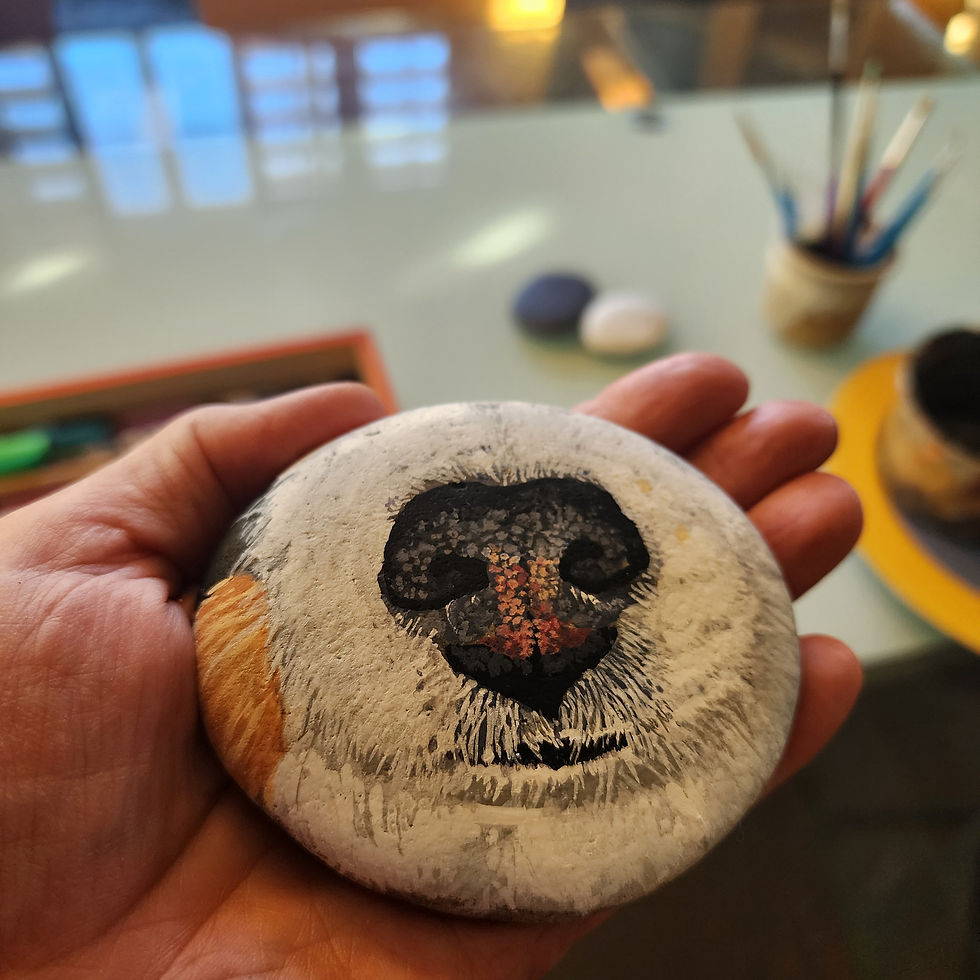 Thumbnail: Boop Dog Nose Border Collie Painted Rock