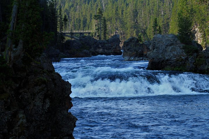 Thumbnail: Grizzly Yellowstone Ecosystem