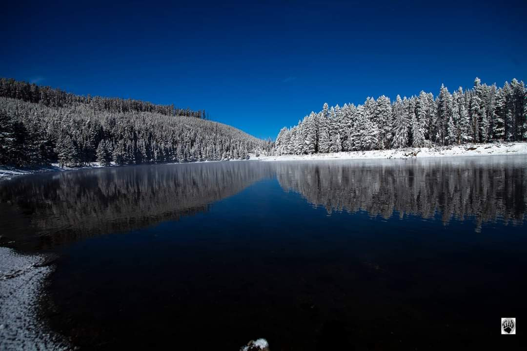 Frost along the Yellowstone River 