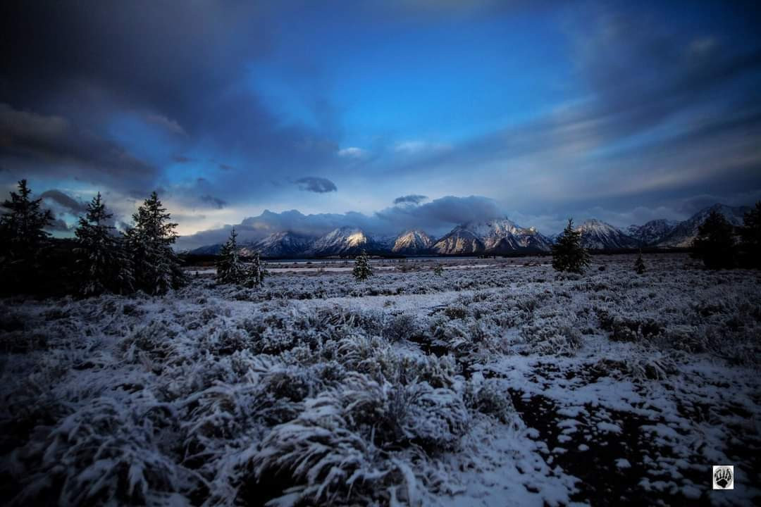 Willow Flats Grand Teton National Park 