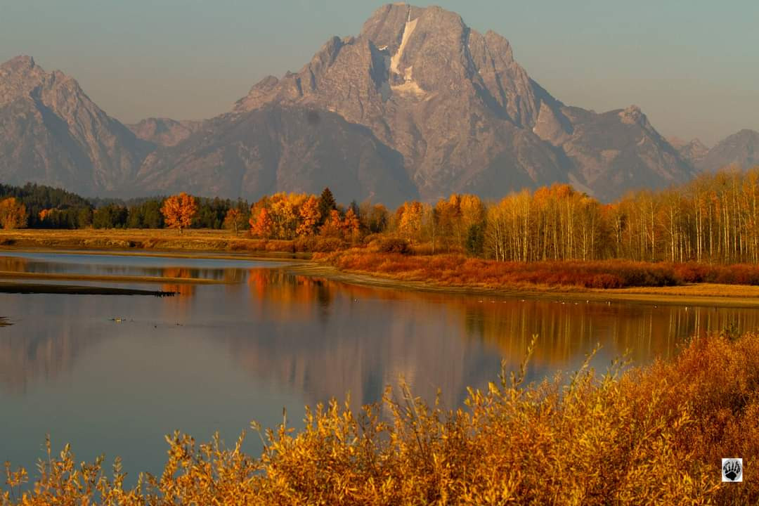 Fall Colors in Grand Teton National Park 