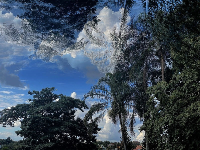 Miniatura: Landscape V