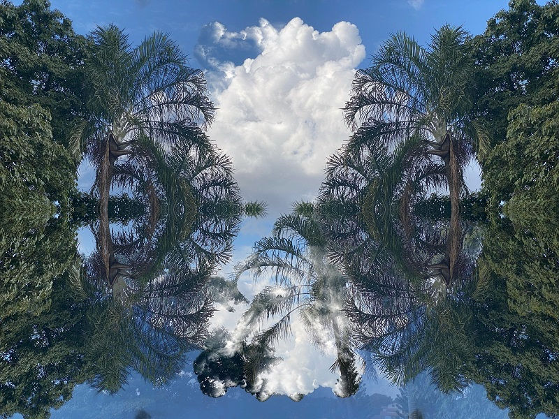Miniatura: Landscape II