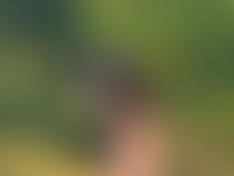 From Survival to Sanctuary- By Sarann John, Miss Earth Wales Air 2025