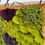 Thumbnail: Whimsy Woodland Mossscape