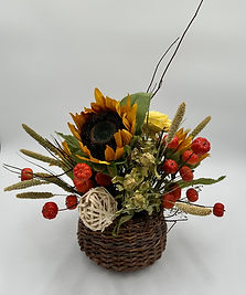 IMG_6531.jpeg