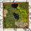 Thumbnail: Whimsy Woodland Mossscape