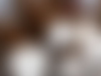 Gobernación de Sucre lanza convocatoria para productores de yuca