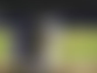 Gigantes se metió en la final tras vencer 4-2 a Caimanes en el cuarto juego de la serie