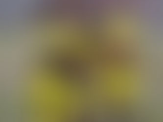 Inició la Caribe Champions con goleadas en Barranquilla