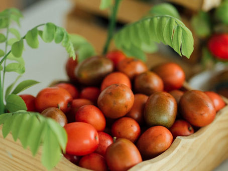 Nueva Plaza de la Ciruela en Campeche