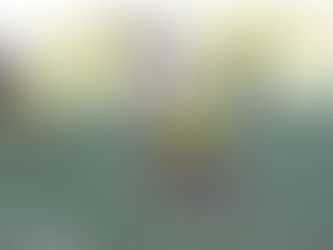 Festival de Rugby se tomó Barranquilla