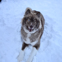 DSC_0092.jpeg