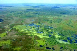 ilha-do-maraca