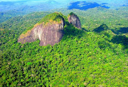 Montanhas Tumucumaque