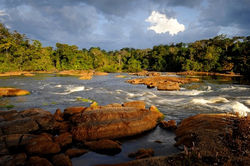 Montanhas Tumucumaque